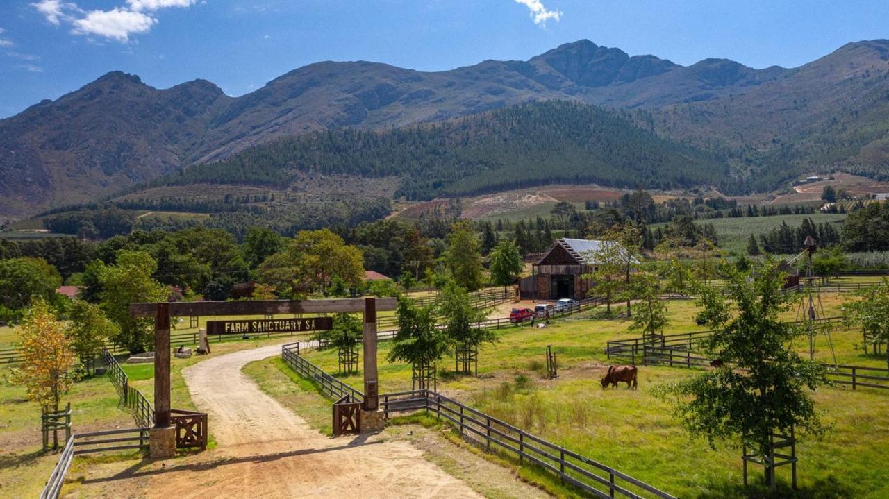 Inspiring Farm Sanctuary And Famous Painting Pig Hotel Franschhoek Kültér fotó