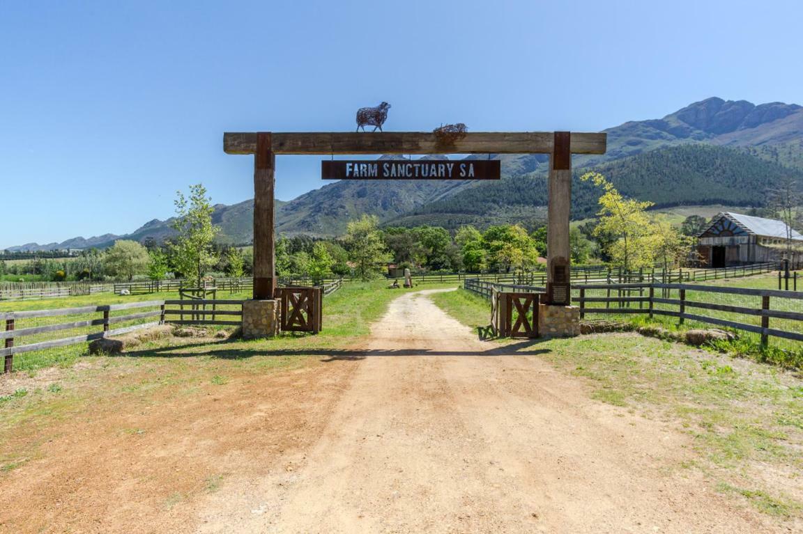 Inspiring Farm Sanctuary And Famous Painting Pig Hotel Franschhoek Kültér fotó